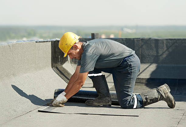Best Insulation Removal  in Milford, IN